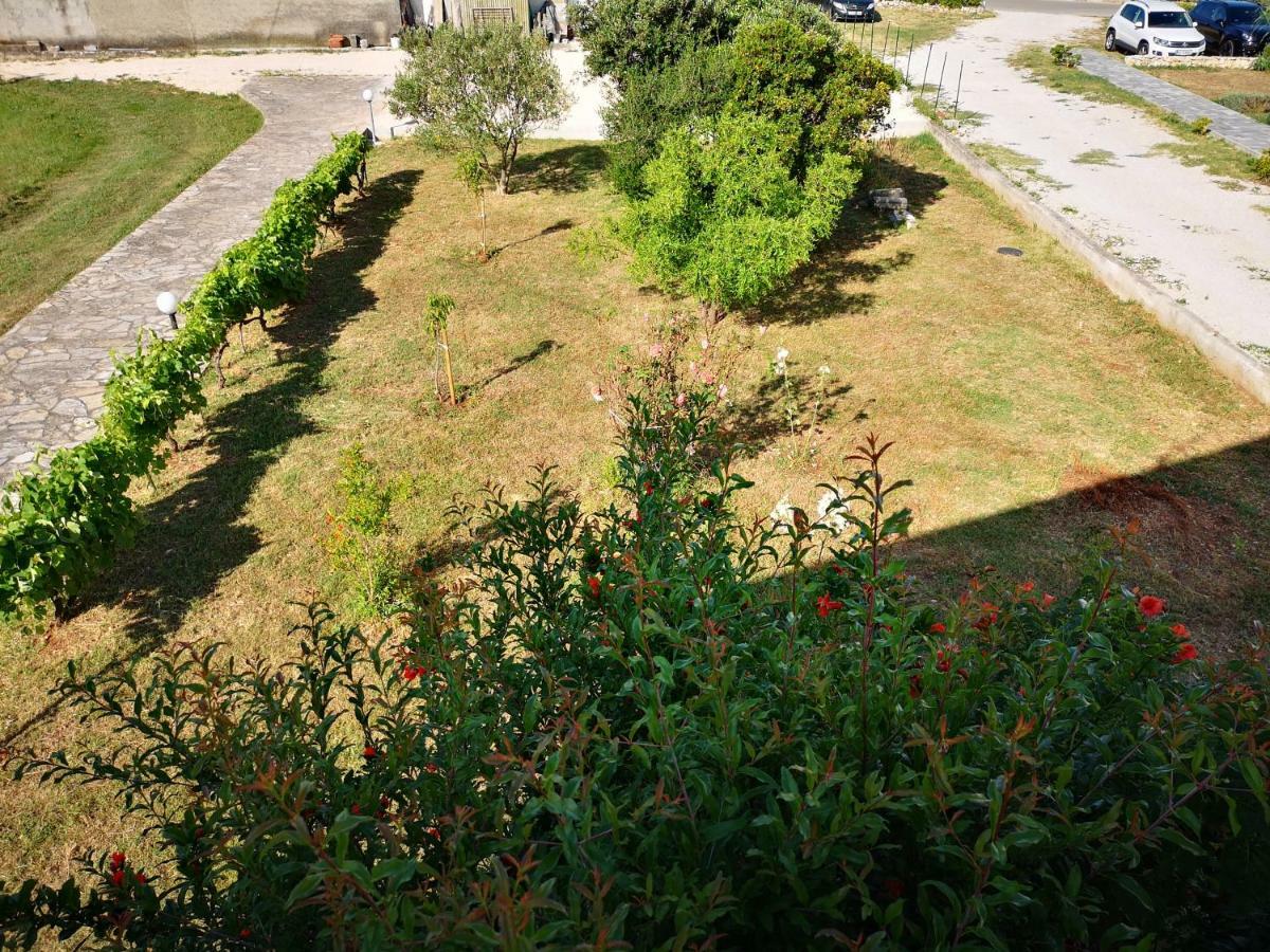 Apartmani Labud Sukošan Dış mekan fotoğraf